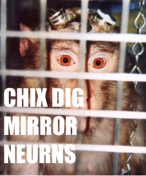 ÒTop ChefÓ and Mirror Neurons