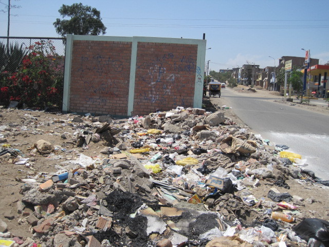 The Dogs and the Garbage