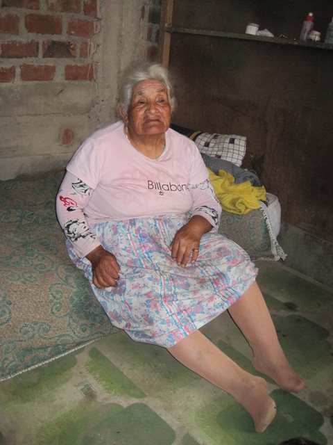 Home Visits in Villa el Salvador, Peru: Angelica