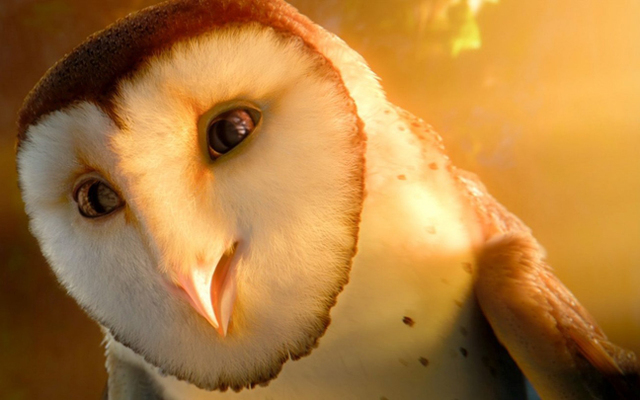 This WeekÕs Film & TV: Basement Films, 3D owls, Ken Burns, William Shatner