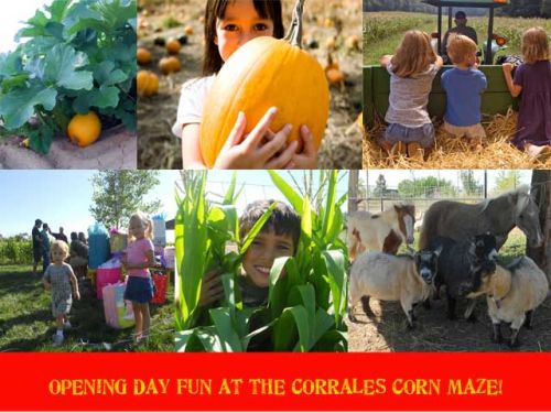 Today! Balloon fiesta visitors get in cheaper at WagnerÕs Farm Pumpkin Patch and Corn Maze