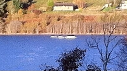 Cryptid Alert: ThereÕs a new photograph of the Loch Ness Monster.