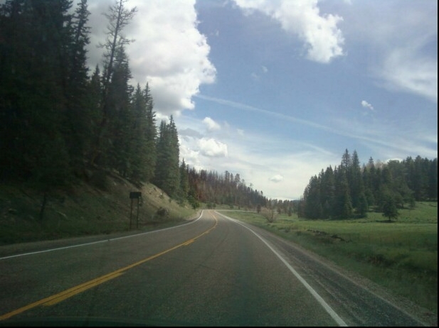 The beautiful Jemez Mountains did not entirely burn down.