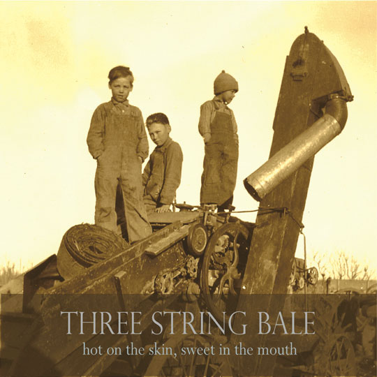 Three String BaleÕs Random Tracks