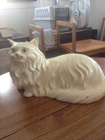 Found on Santa Fe Craigslist: white cat ($50)