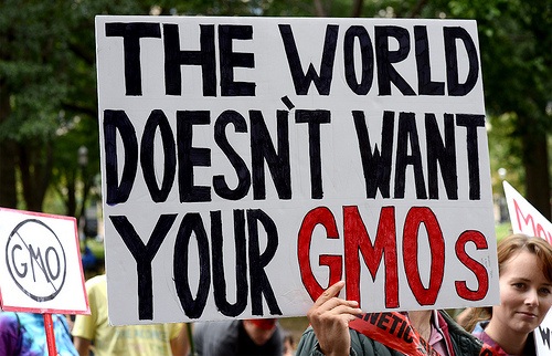 Common Ground in the GMO Debate?