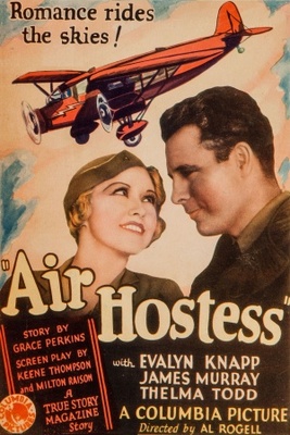 Air Hostess poster