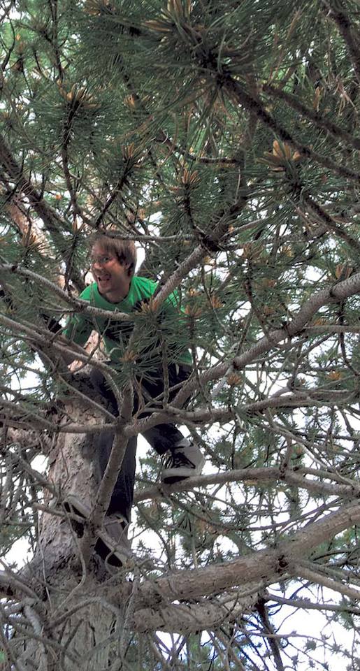 Josh in a tree