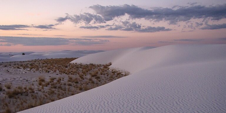White Sands Forever